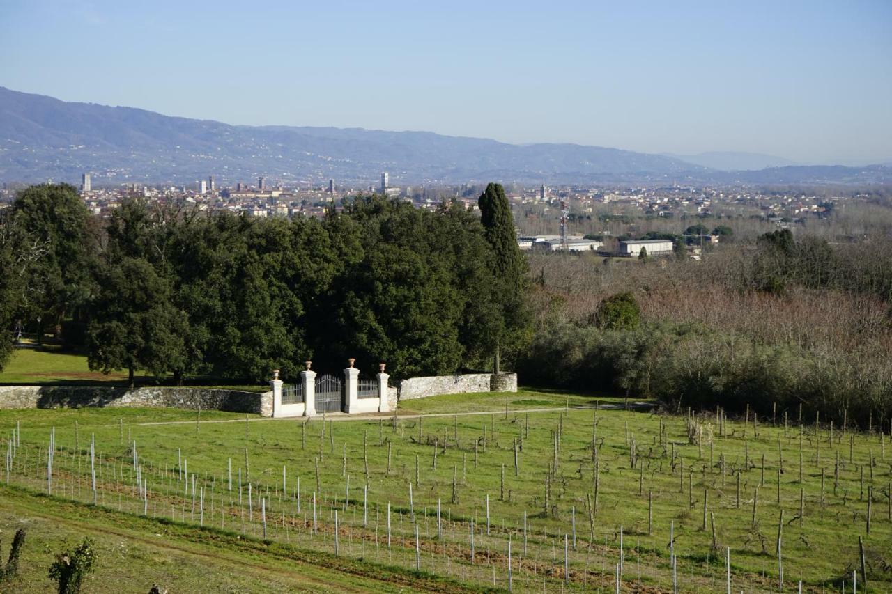 La Vedetta Apartment Lucca